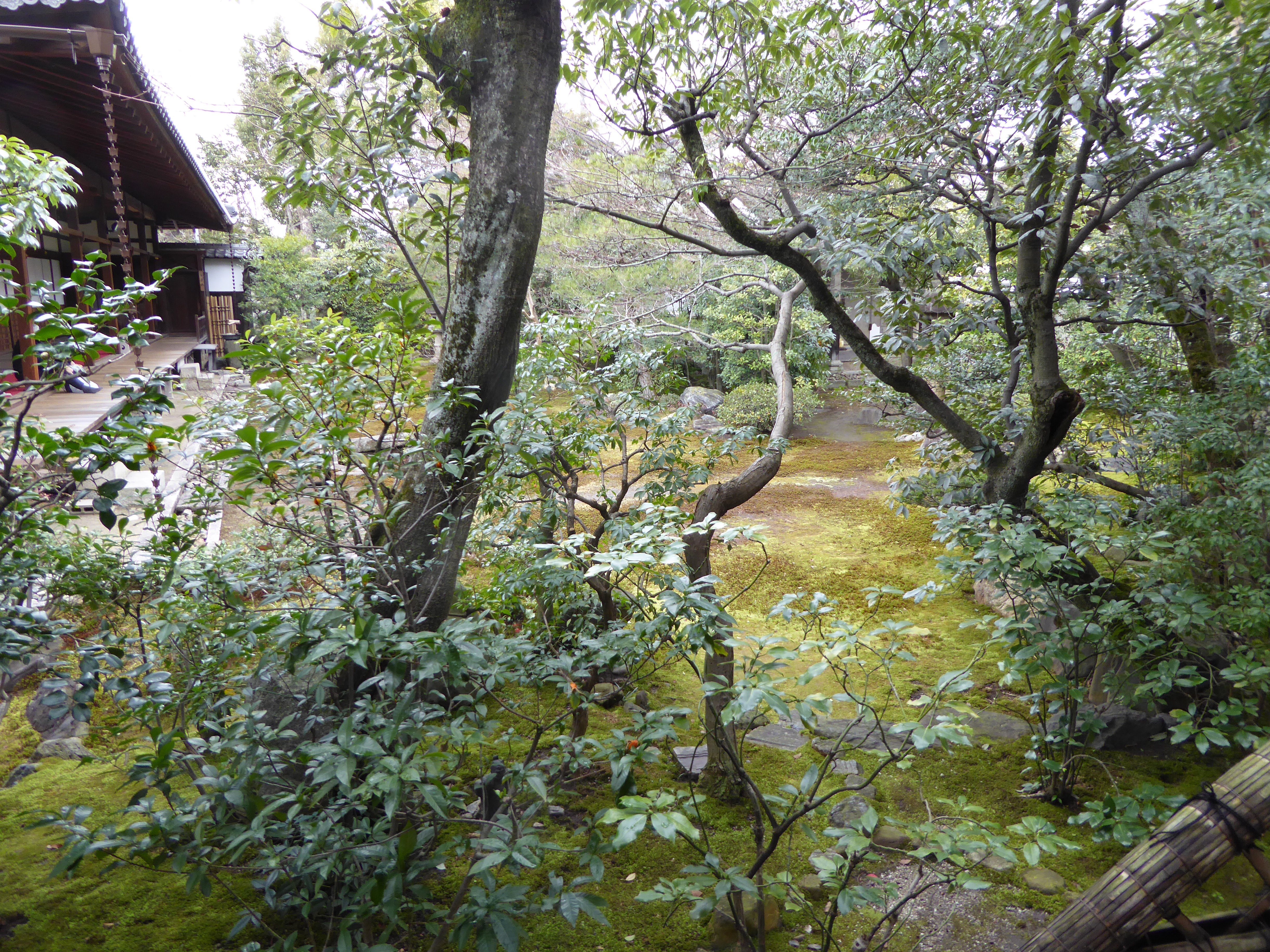 P1010848.JPG