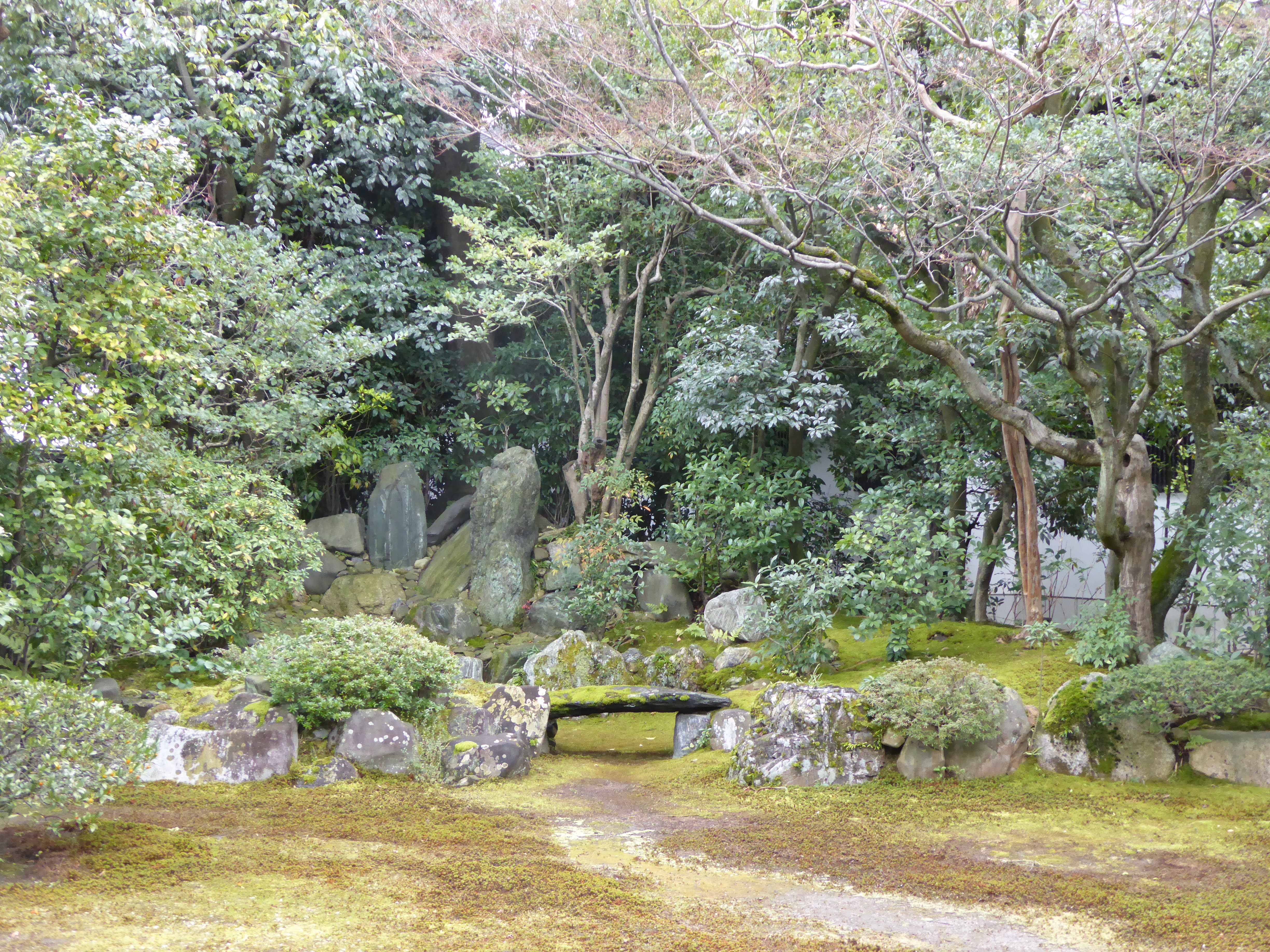 P1010851.JPG