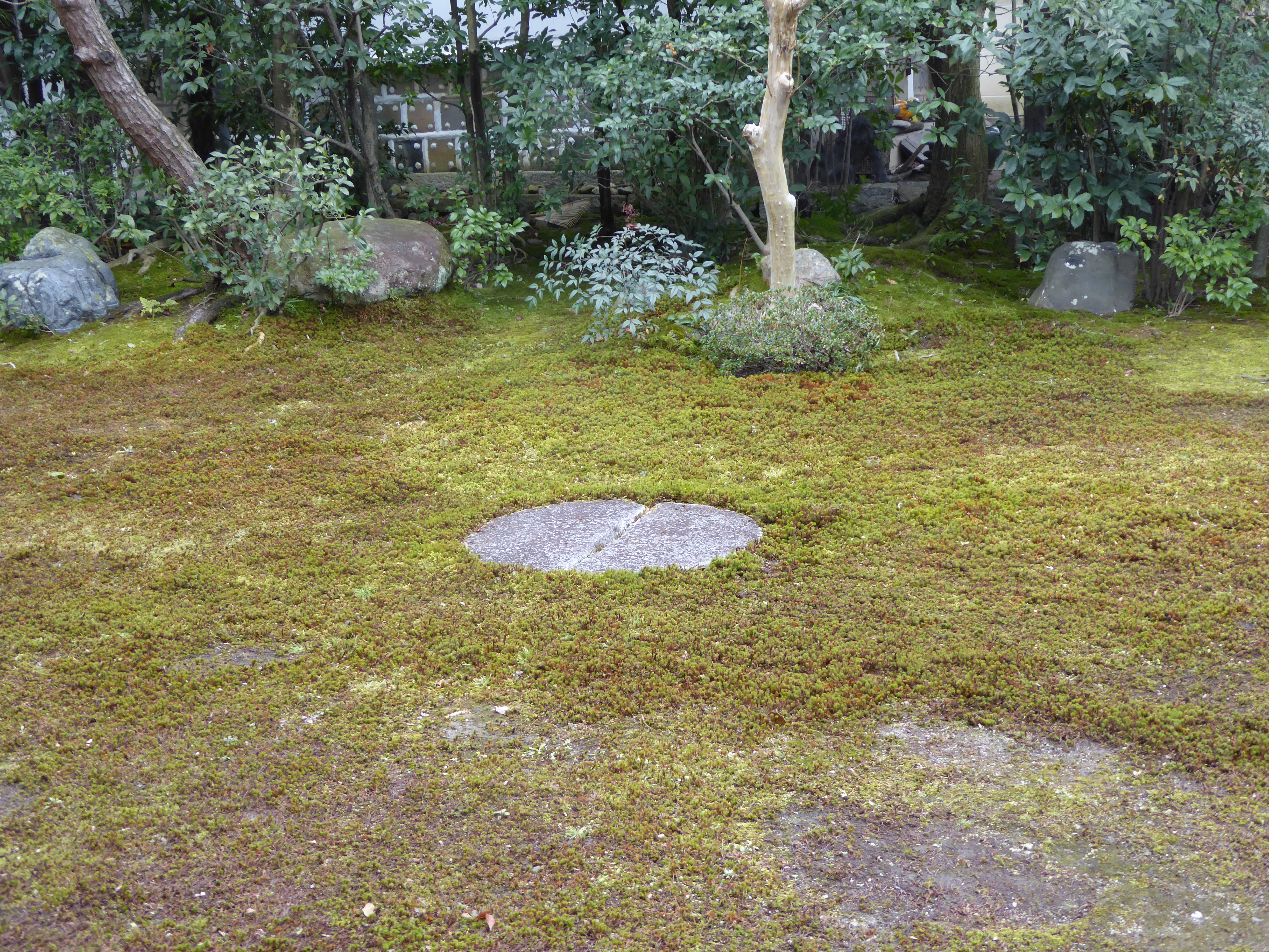 P1010852.JPG
