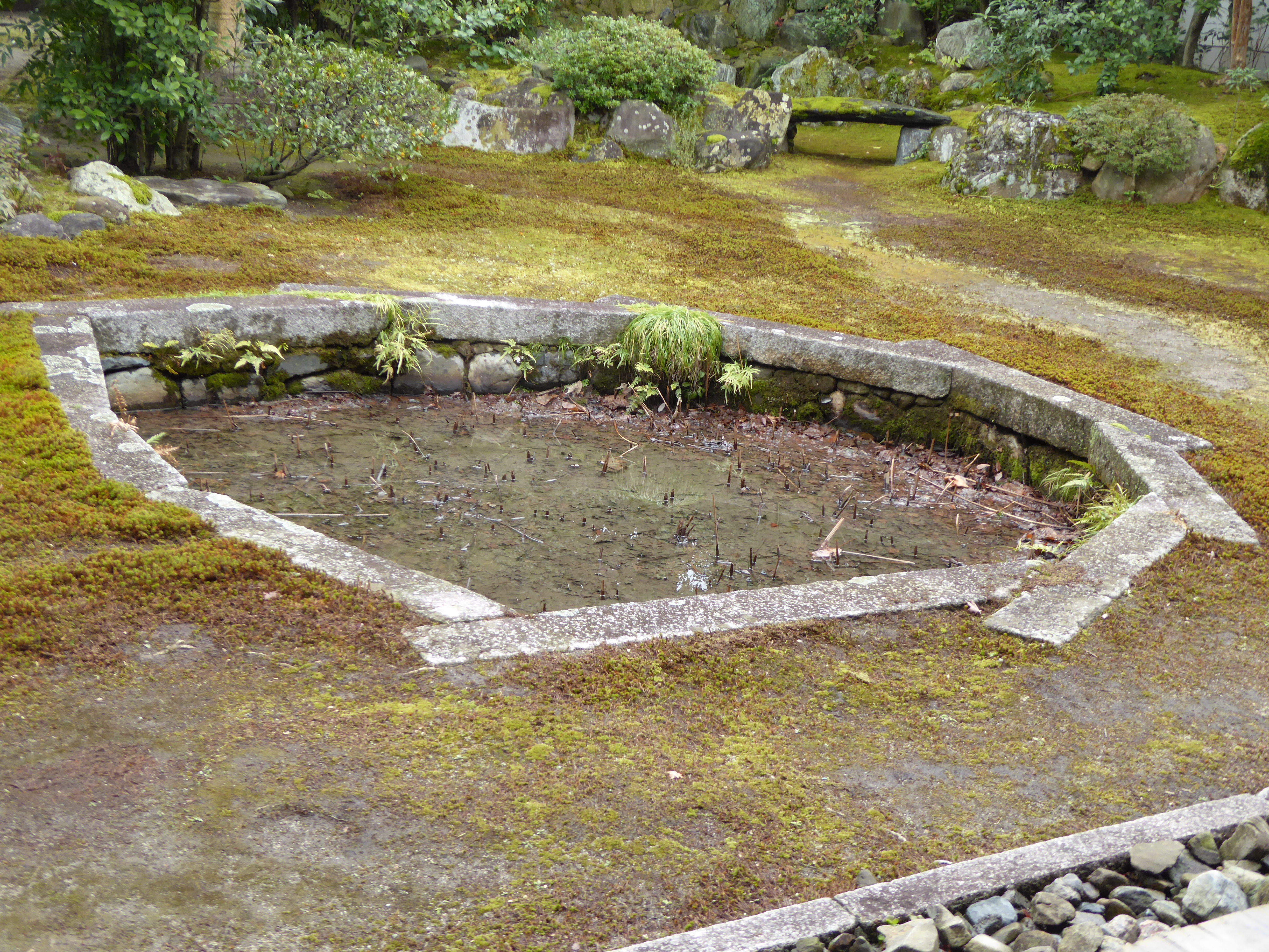 P1010853.JPG