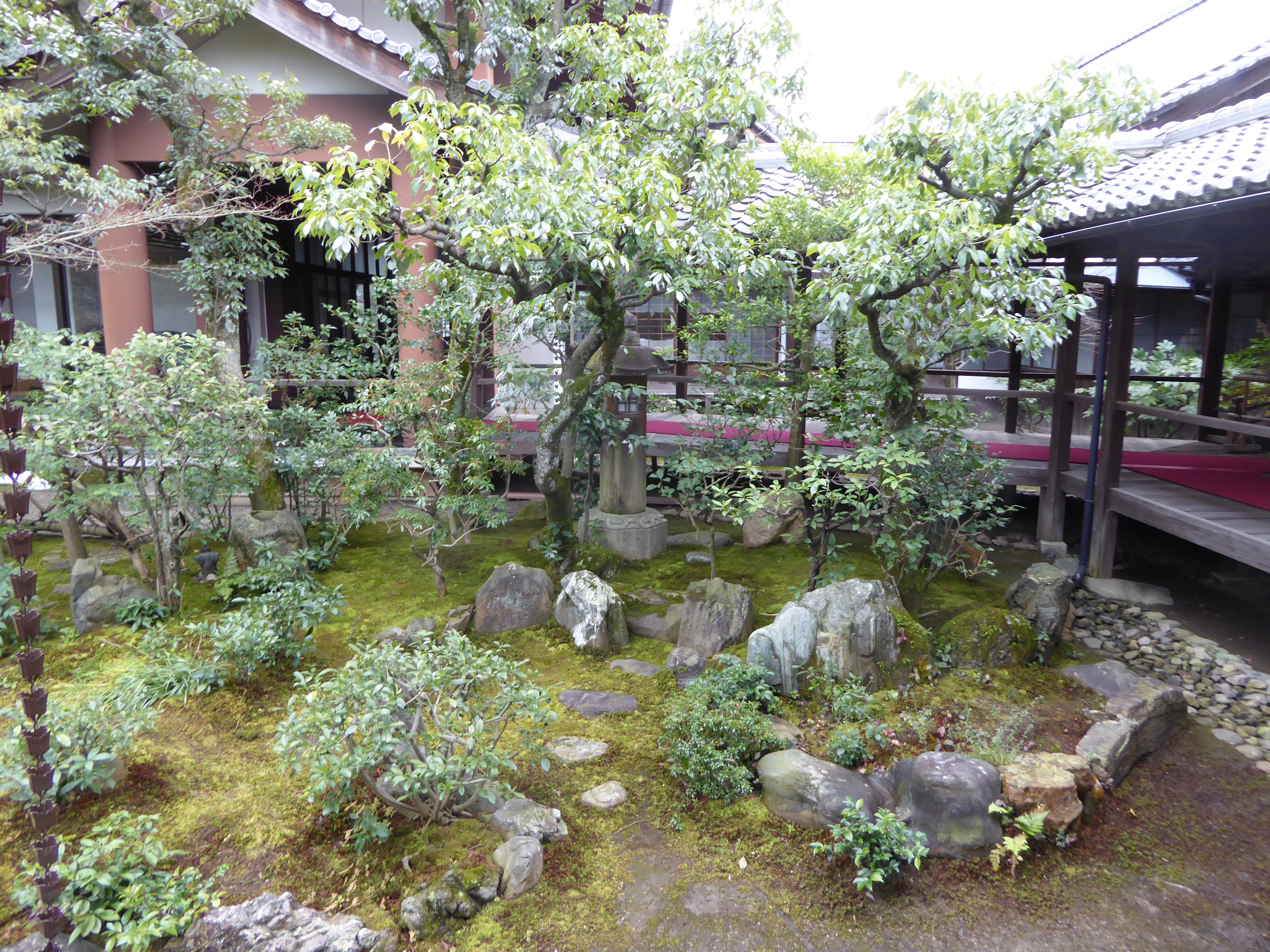 P1010855.JPG