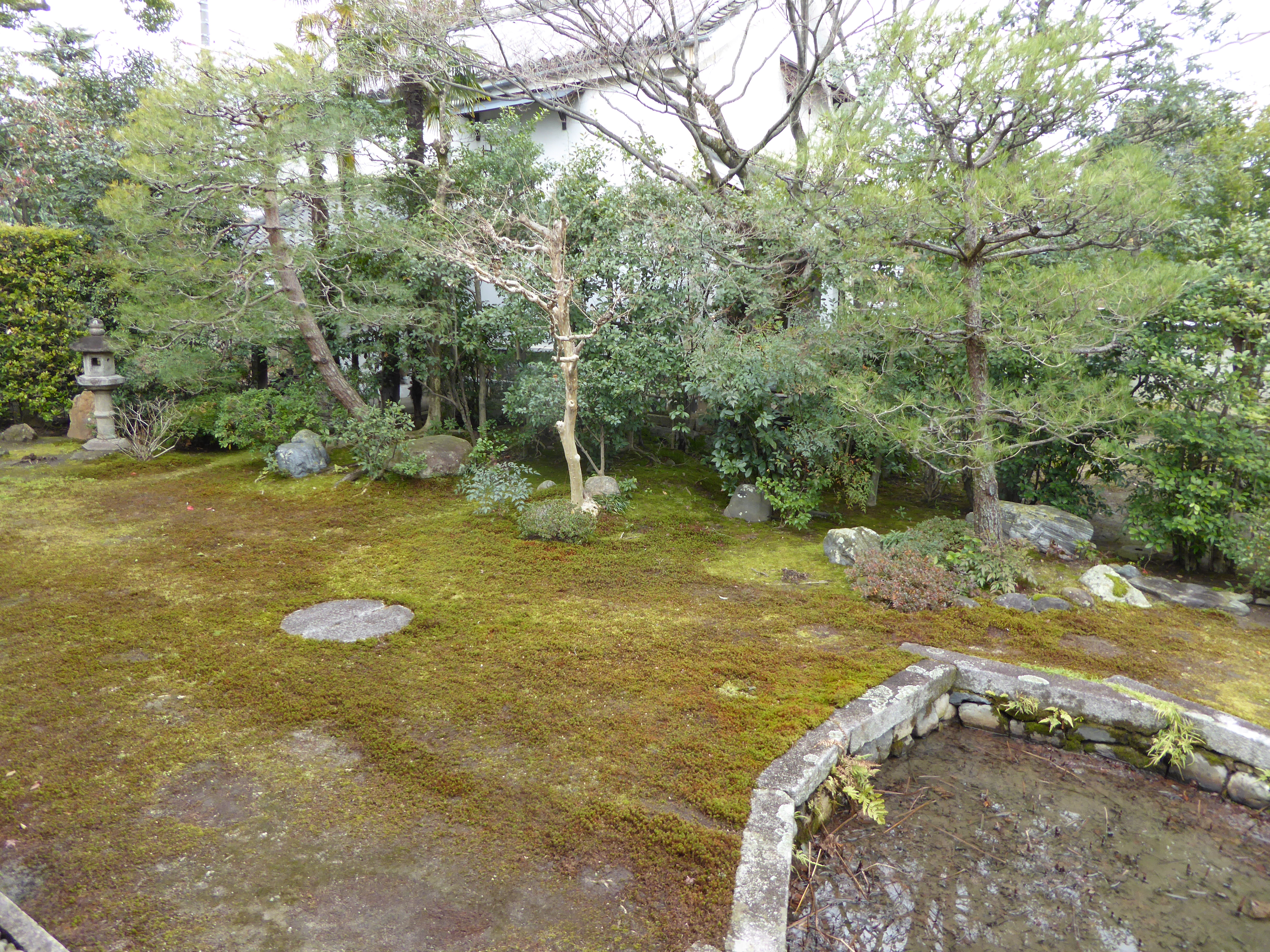 P1010857.JPG