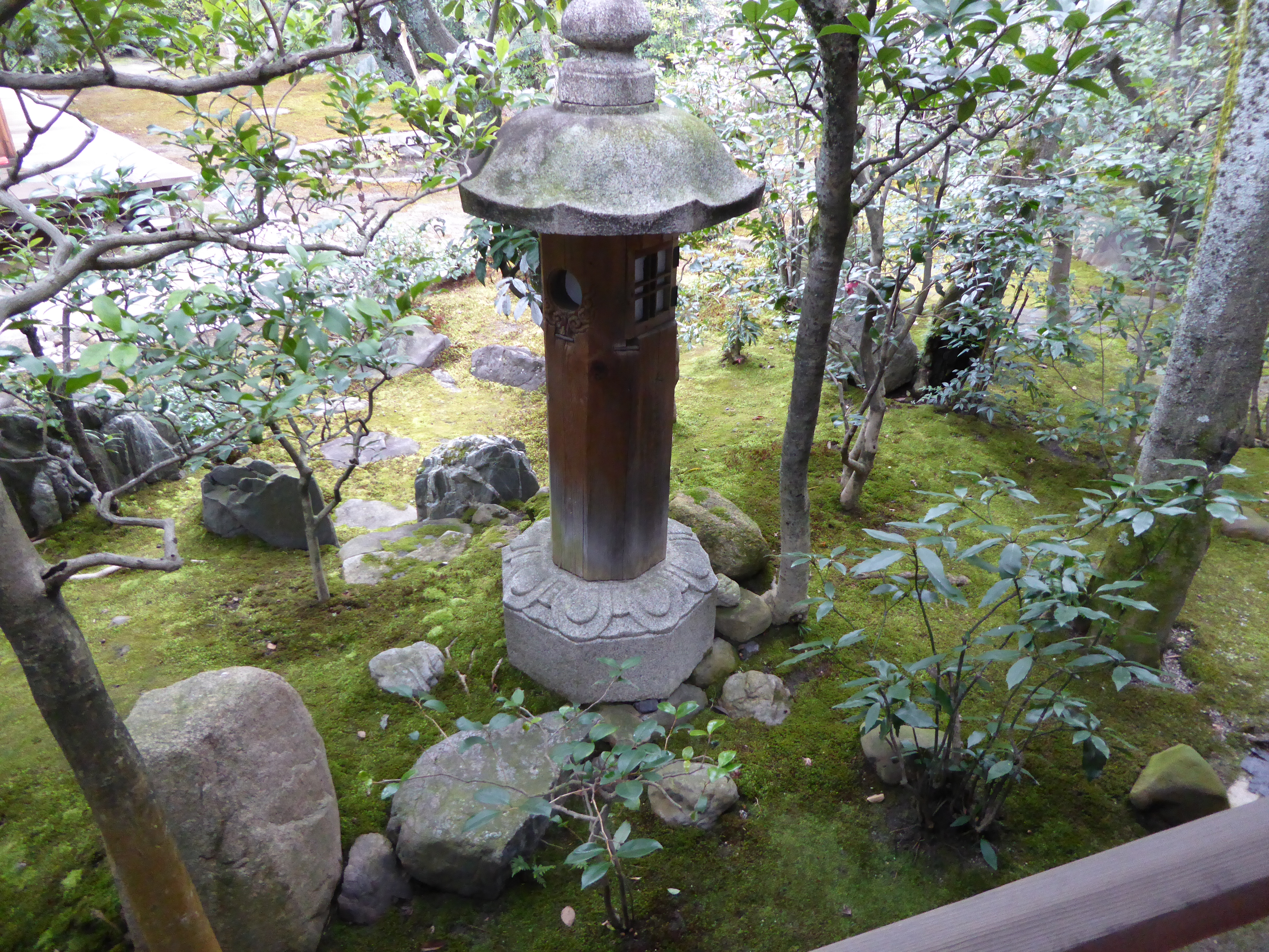 P1010858.JPG