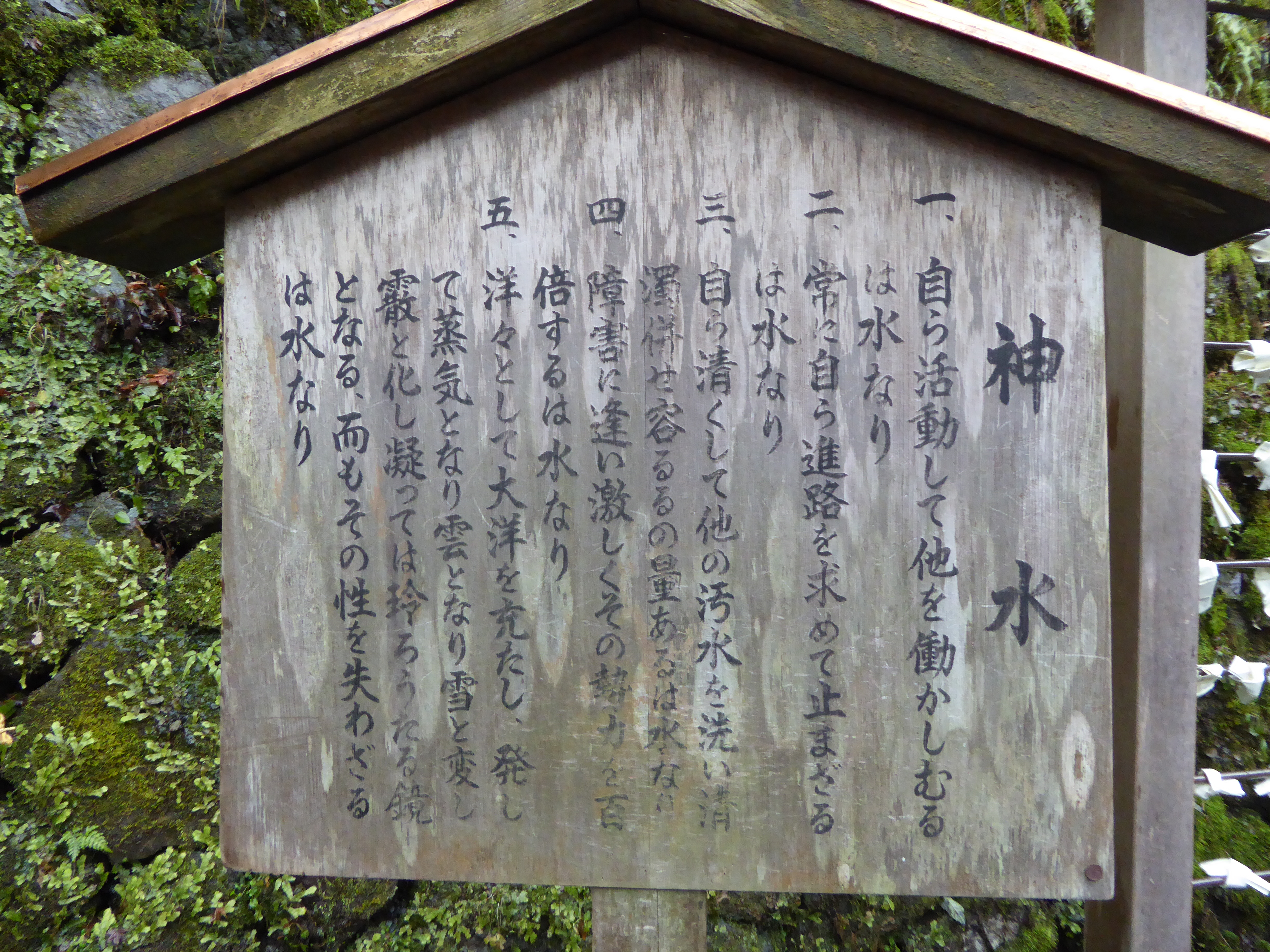 P1010885.JPG