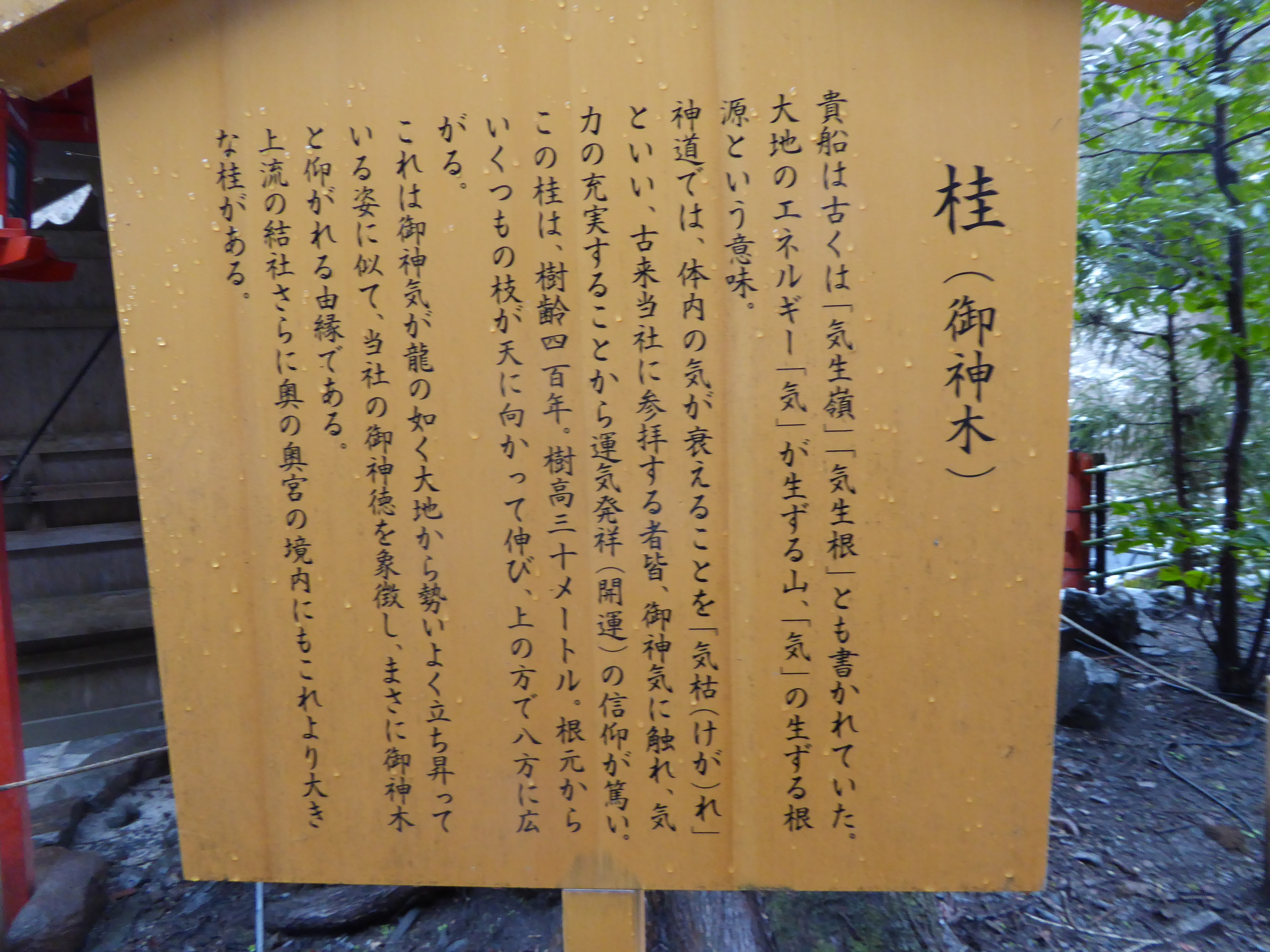 P1010890.JPG
