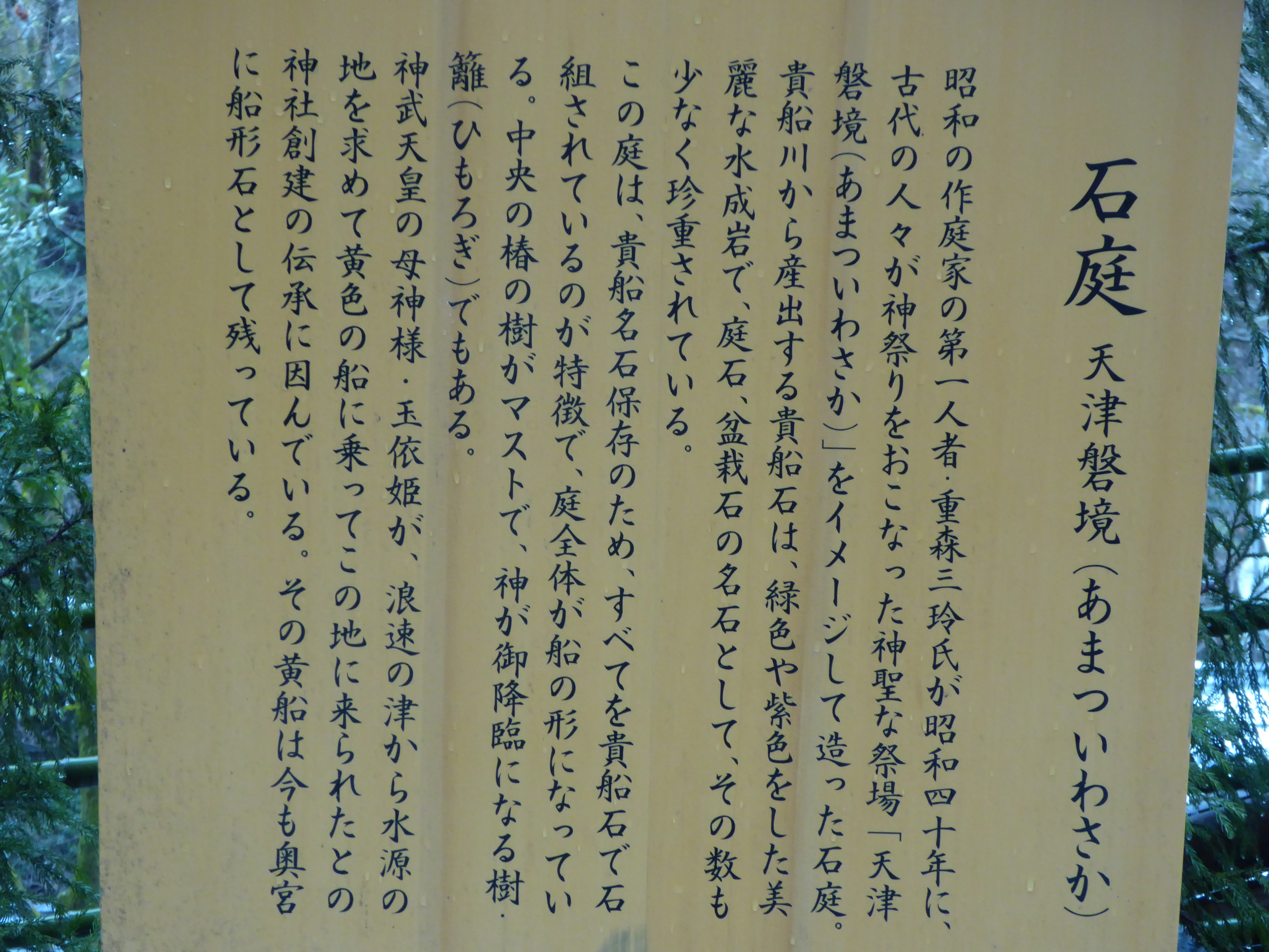 P1010892.JPG