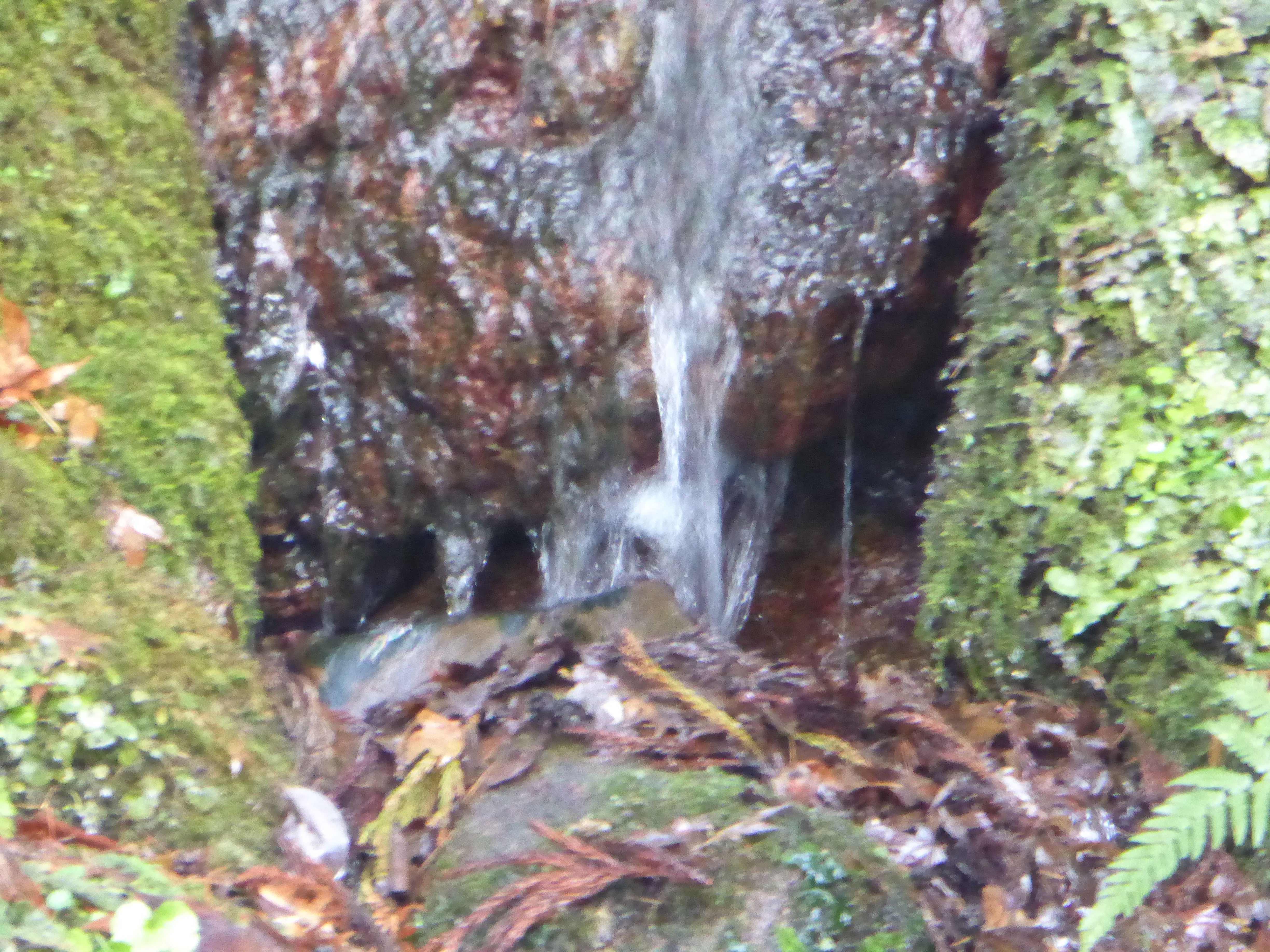 P1010912.JPG