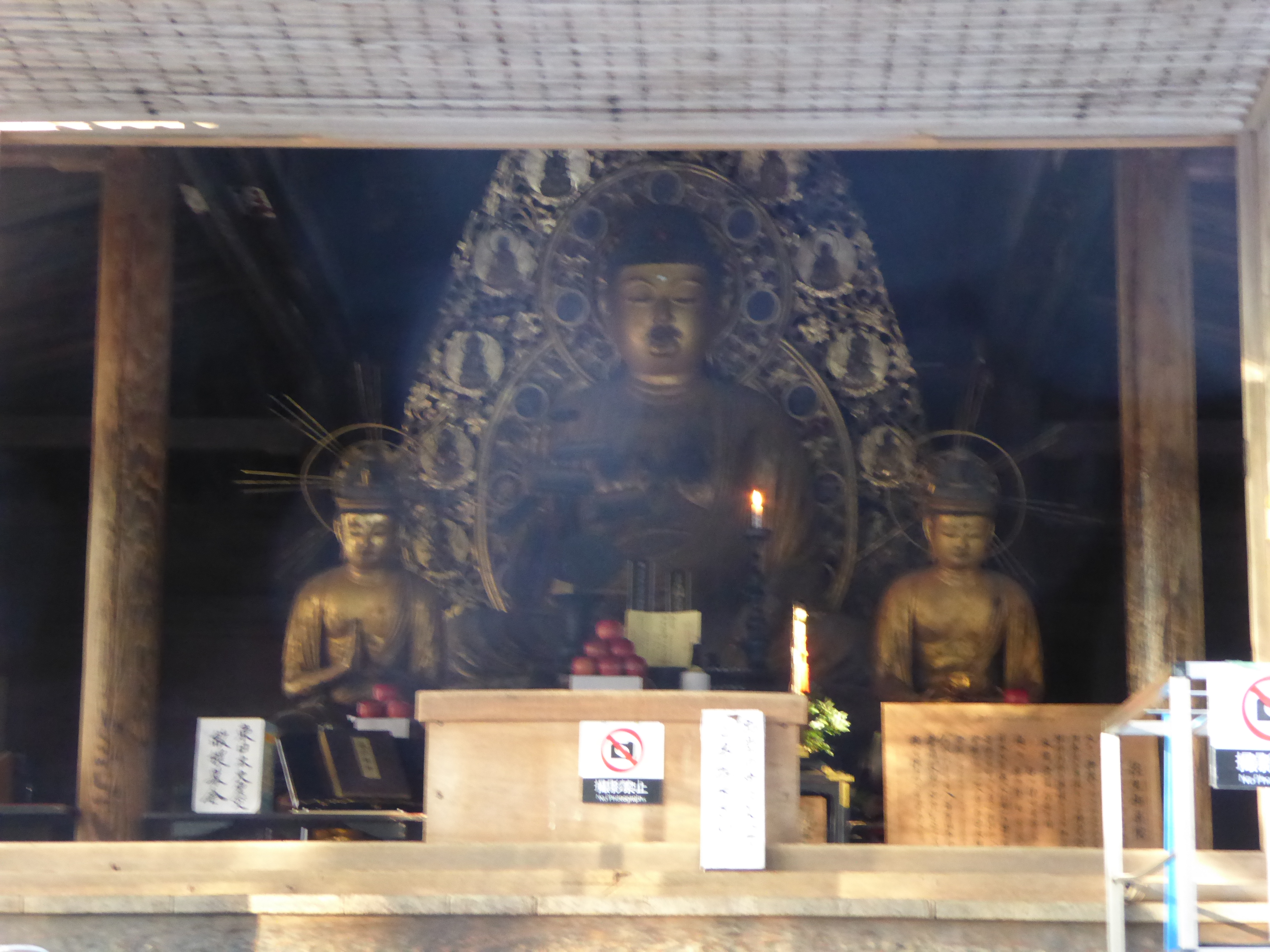 P1010917.JPG