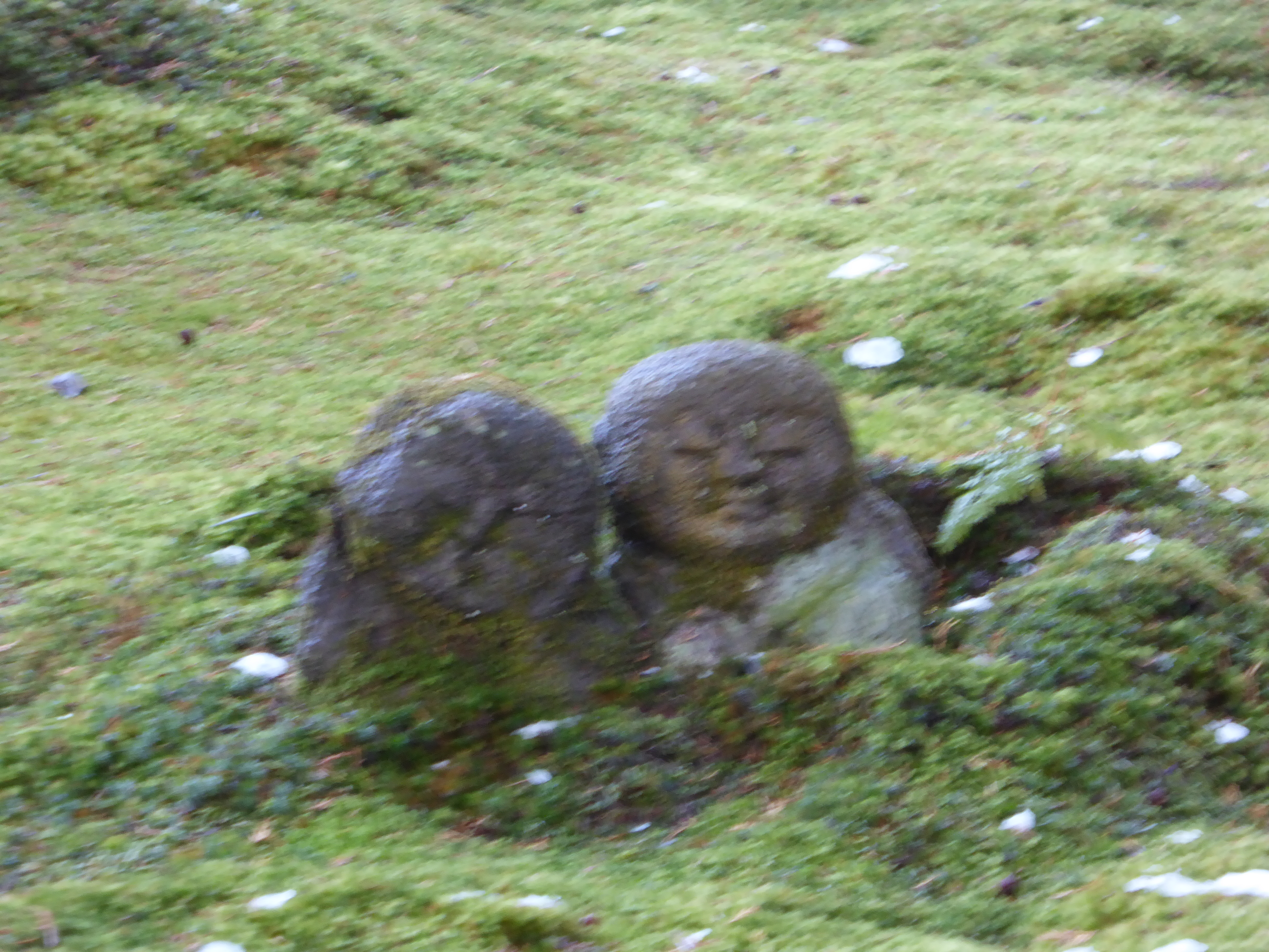 P1010926.JPG