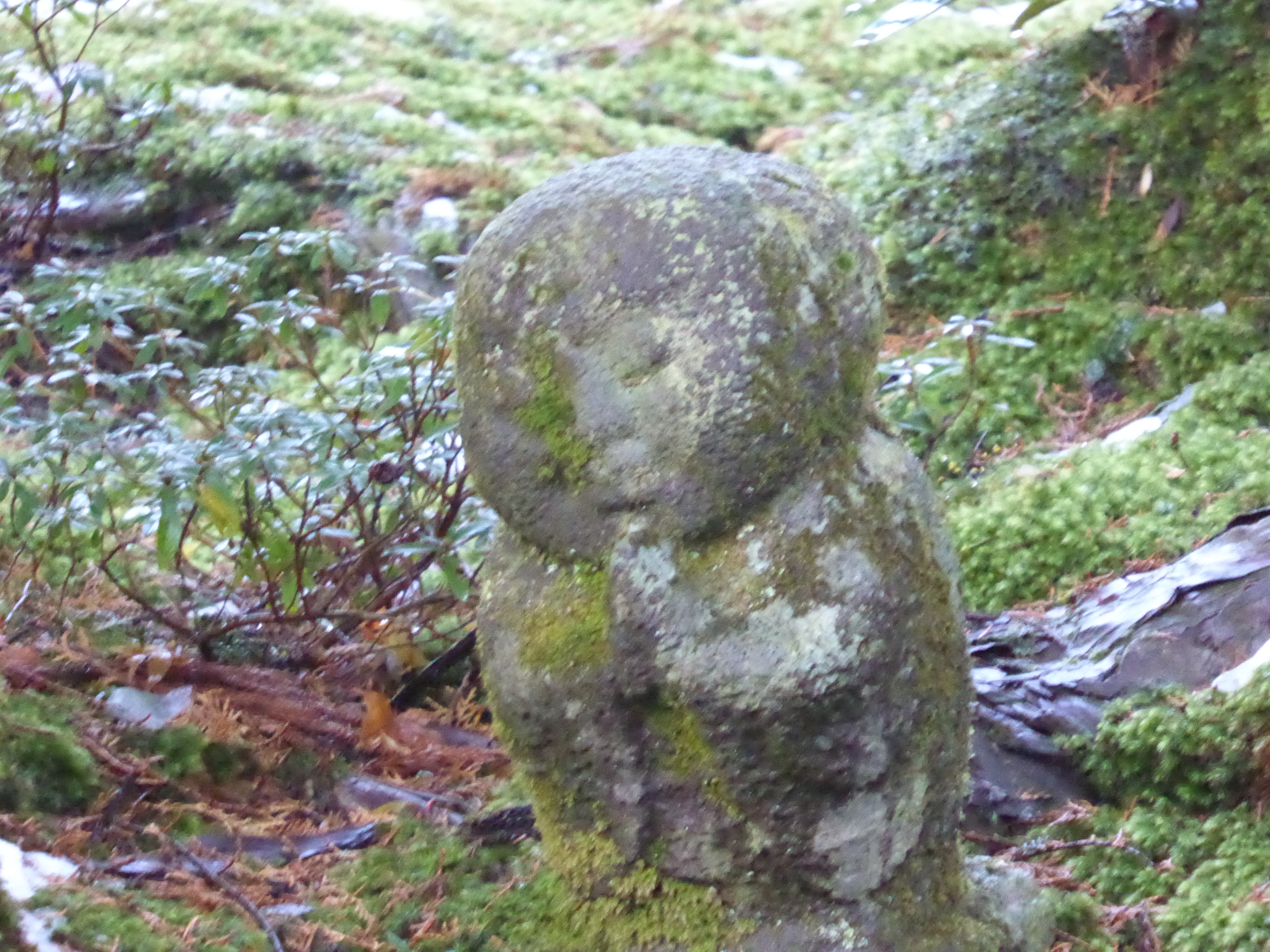 P1010927.JPG