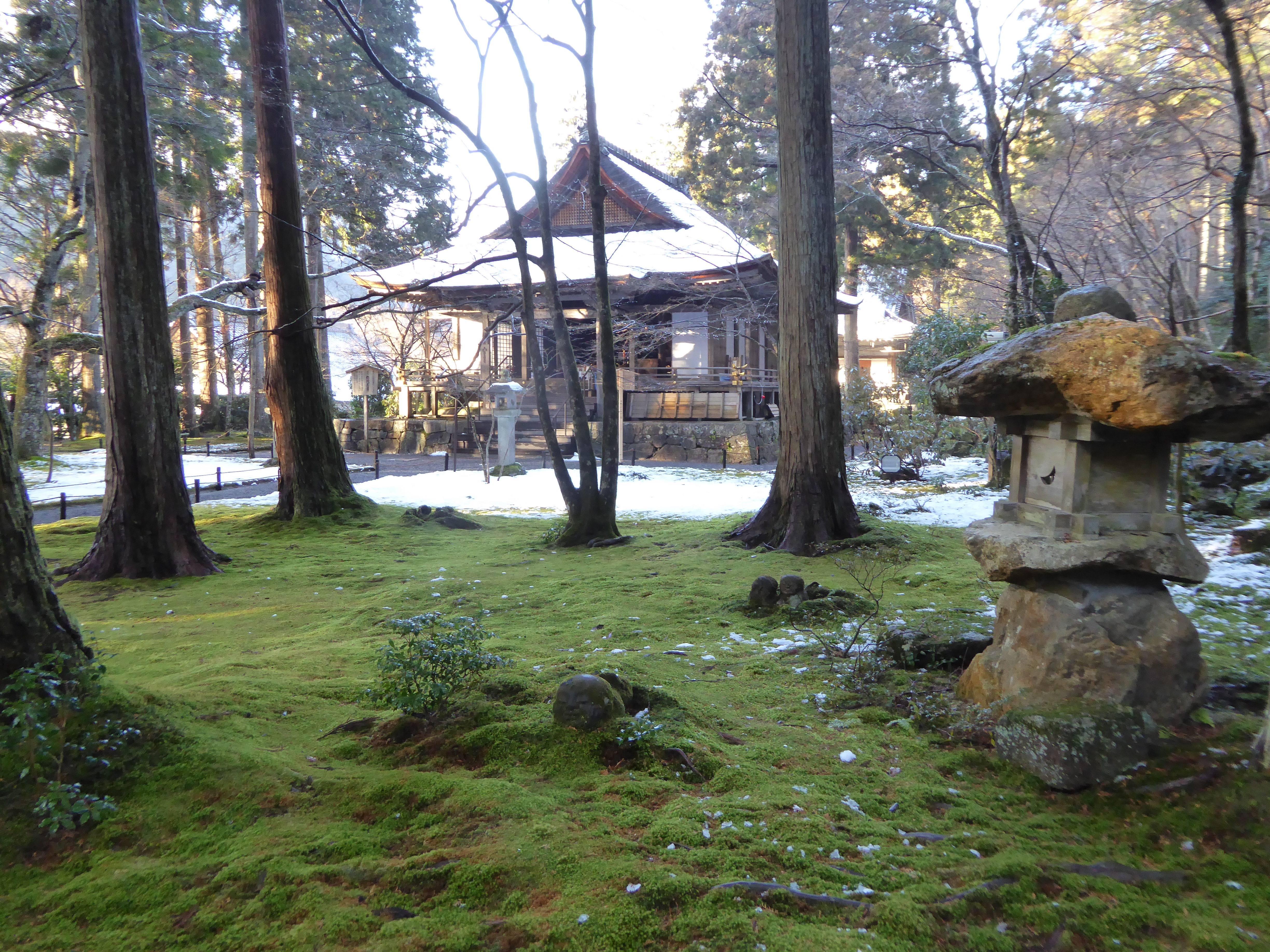 P1010929.JPG