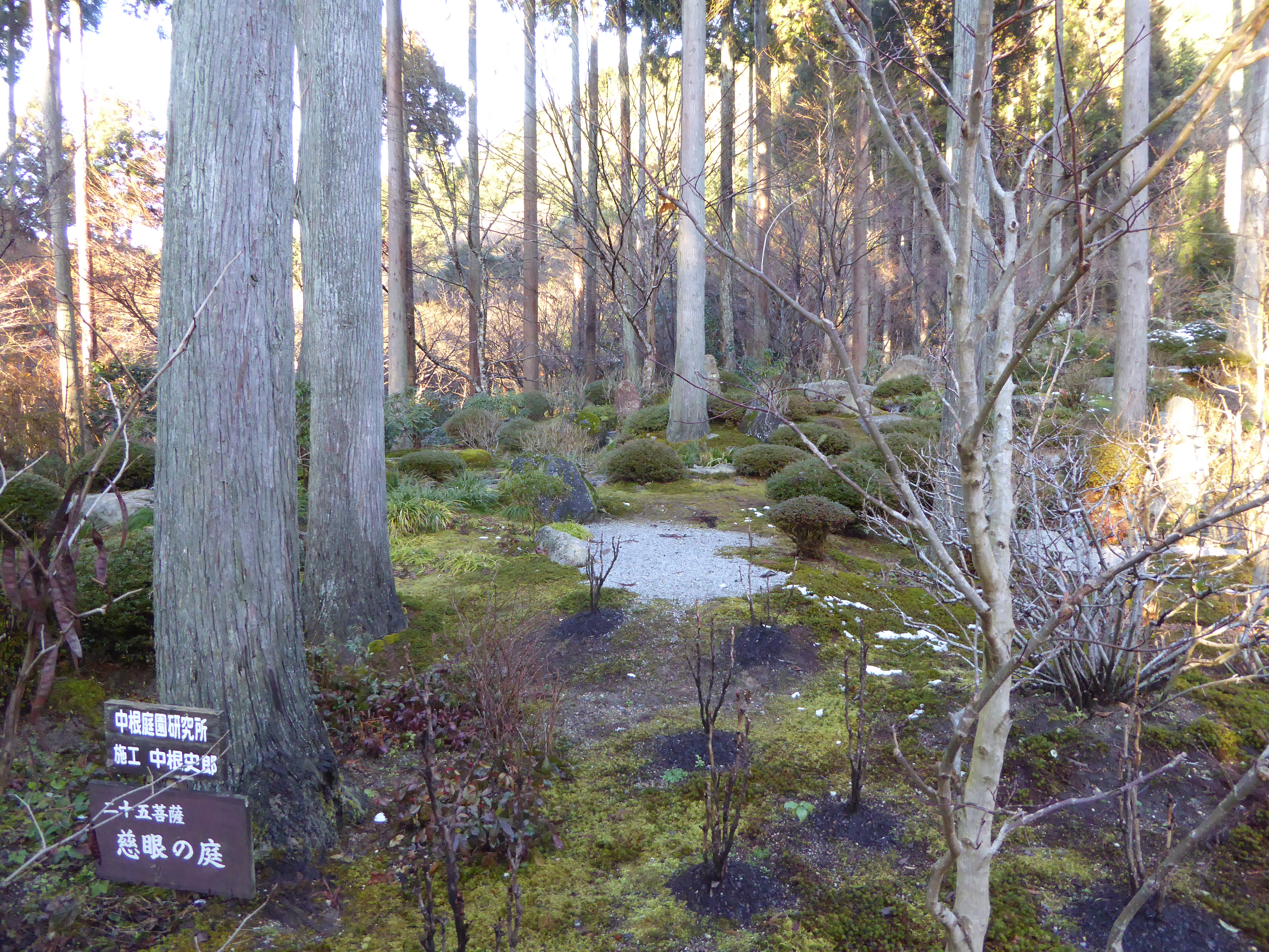 P1010933.JPG