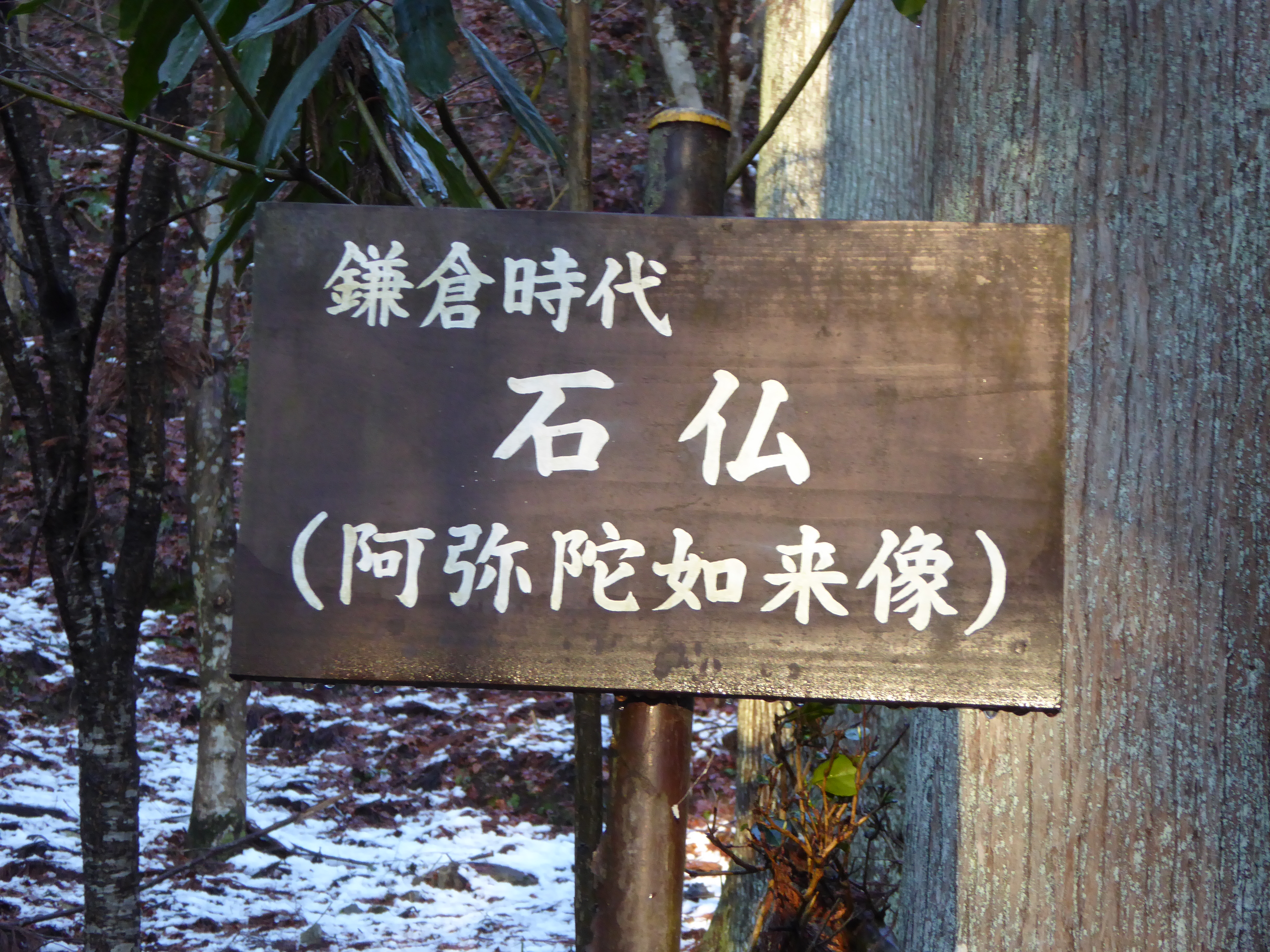 P1010940.JPG
