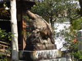 img0028.jpg