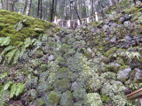 img0045.jpg