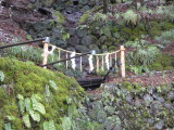 img0047.jpg