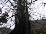 img0050.jpg