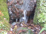 img0071.jpg