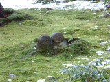 img0084.jpg