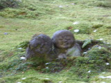 img0085.jpg