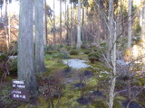 img0091.jpg