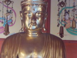 img0094.jpg