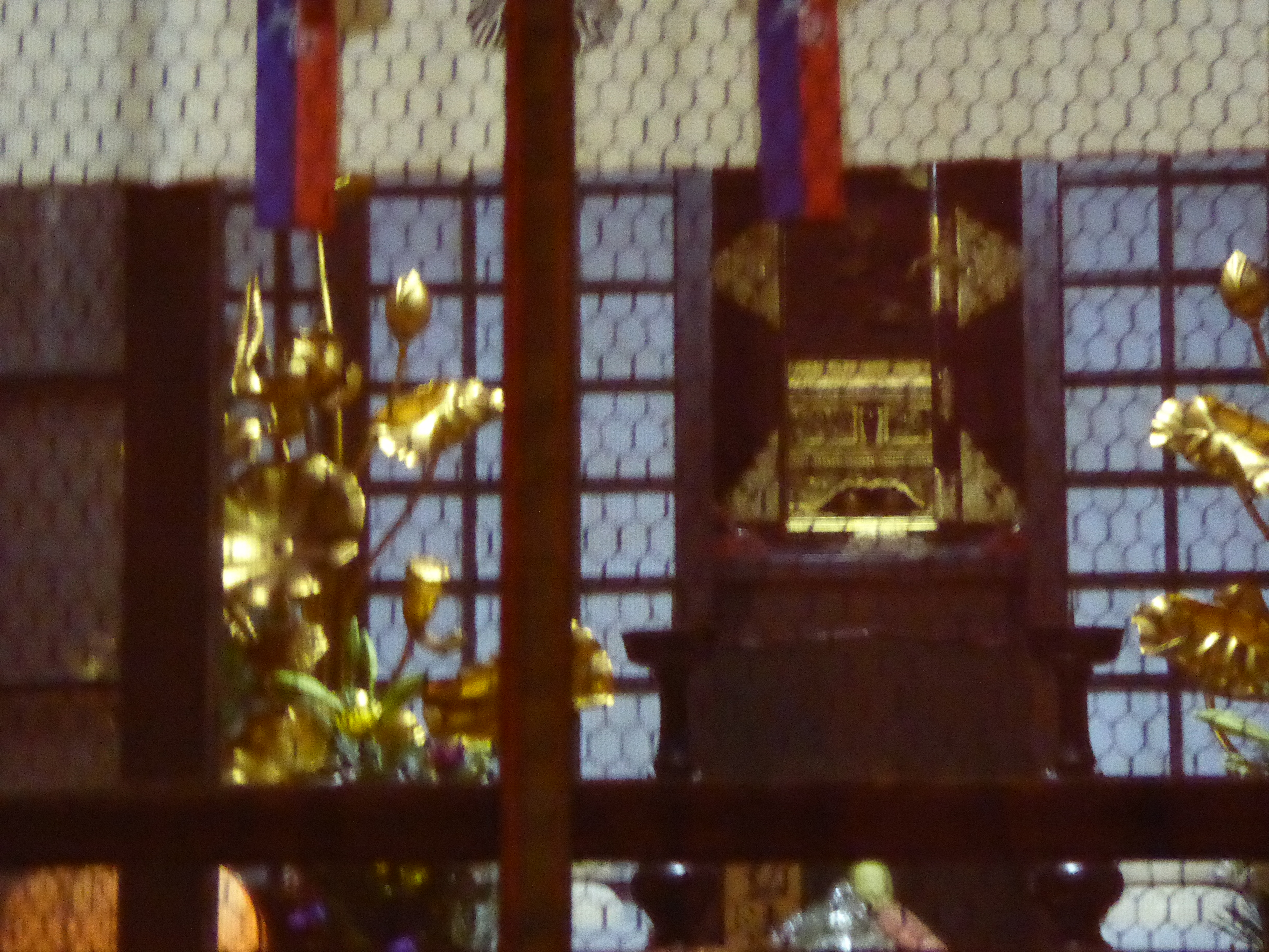 P1010951.JPG