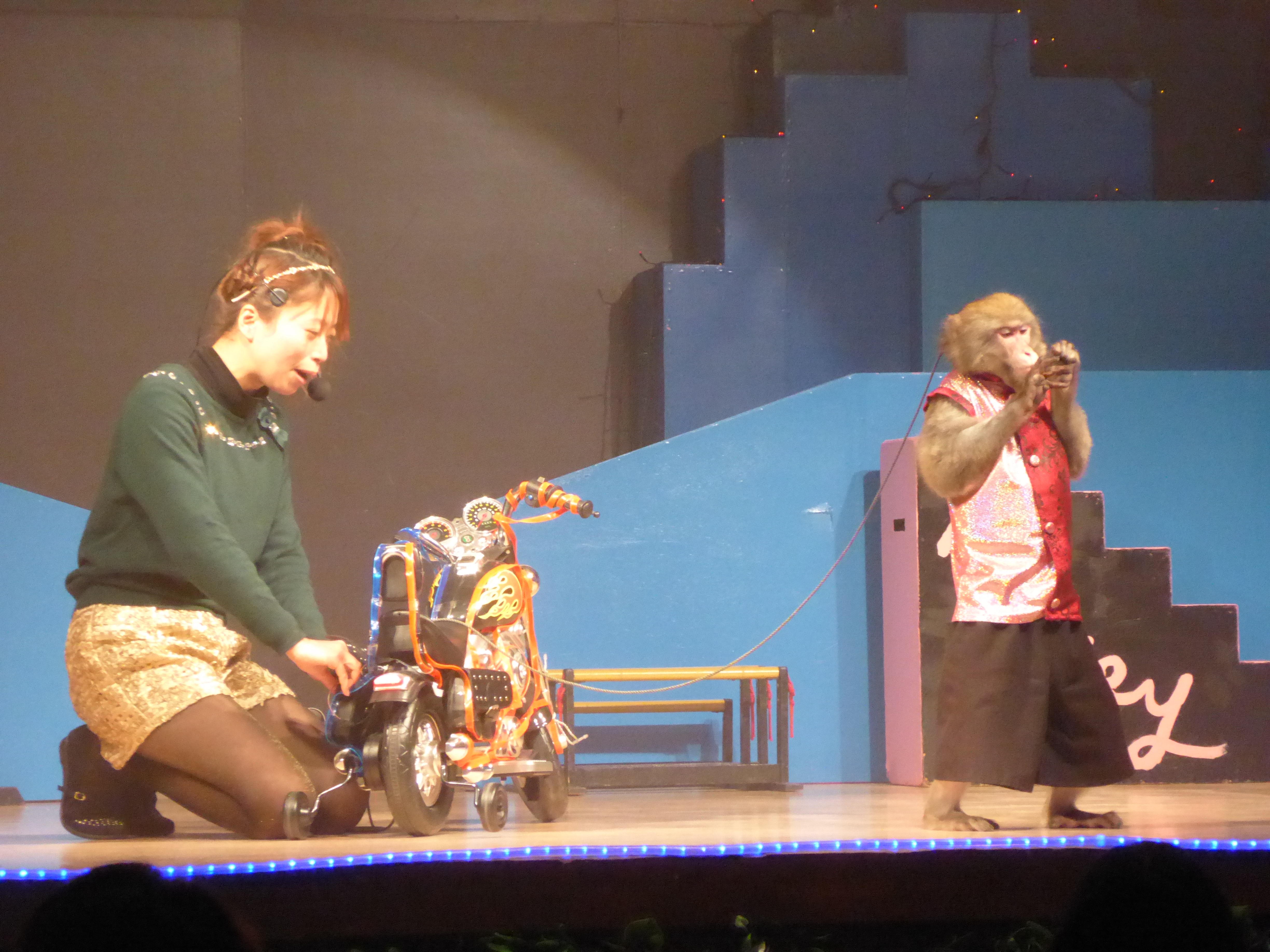 P1010996.JPG