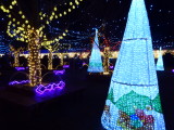 img0004.jpg