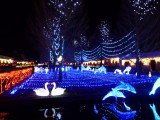 img0005.jpg