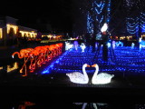 img0006.jpg
