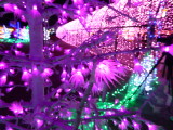 img0021.jpg