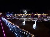 img0049.jpg