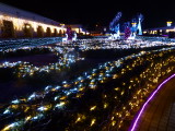 img0050.jpg