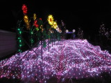 img0052.jpg