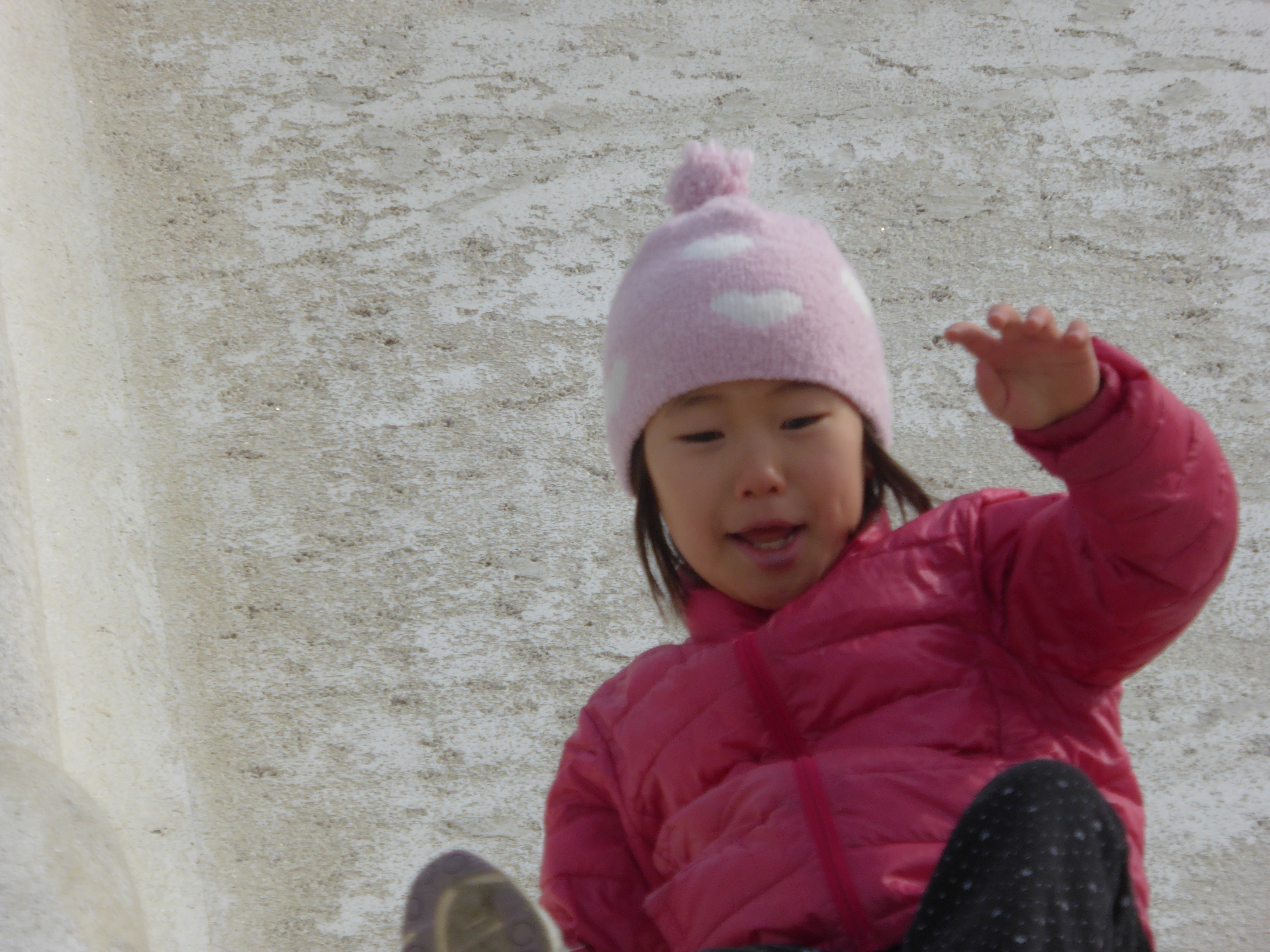 P1020017.JPG