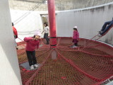 img0012.jpg