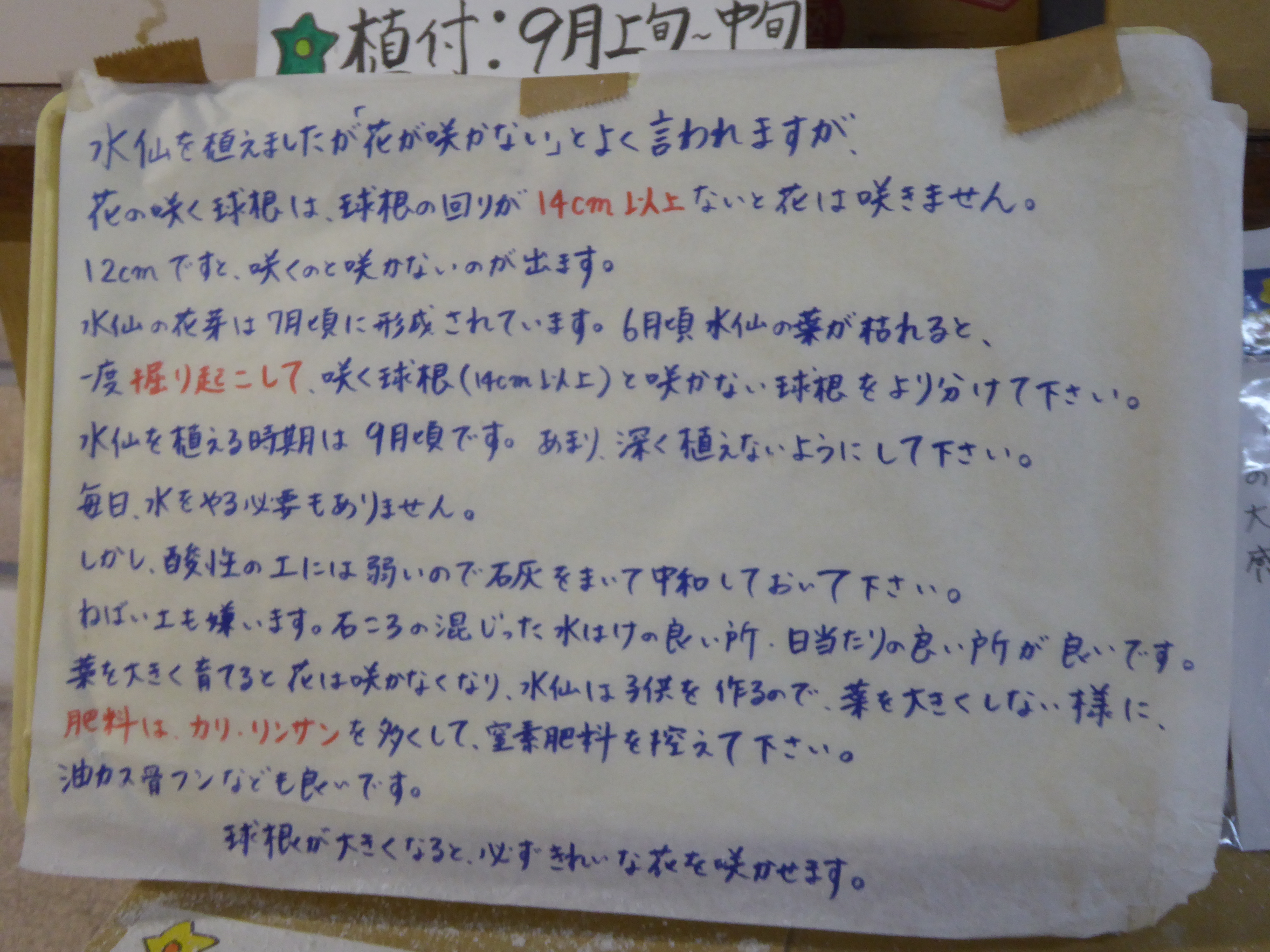 P1020101.JPG