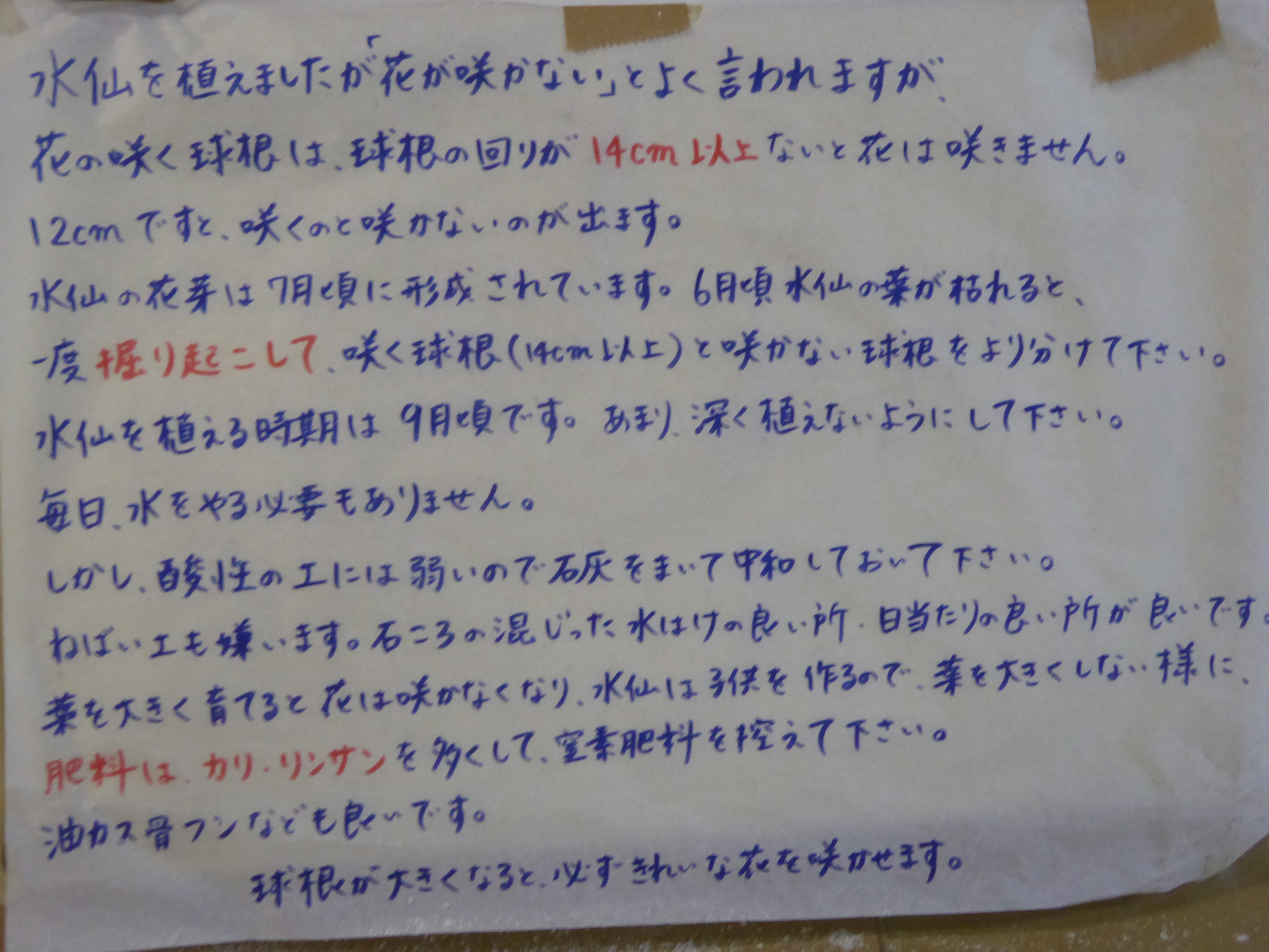 P1020102.JPG