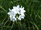 img0004.jpg