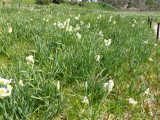 img0010.jpg