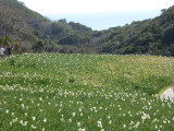 img0012.jpg
