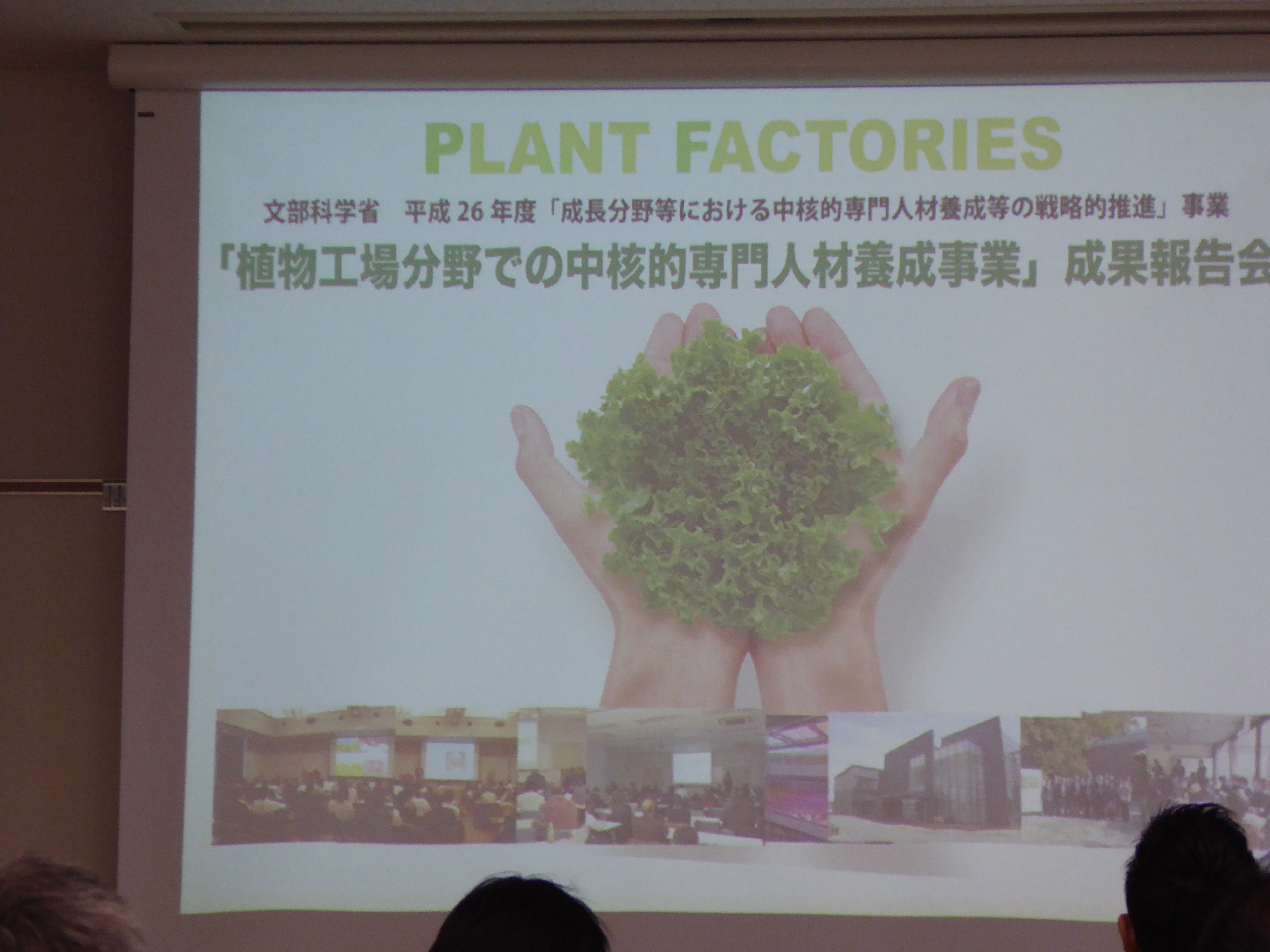 P1020114.JPG
