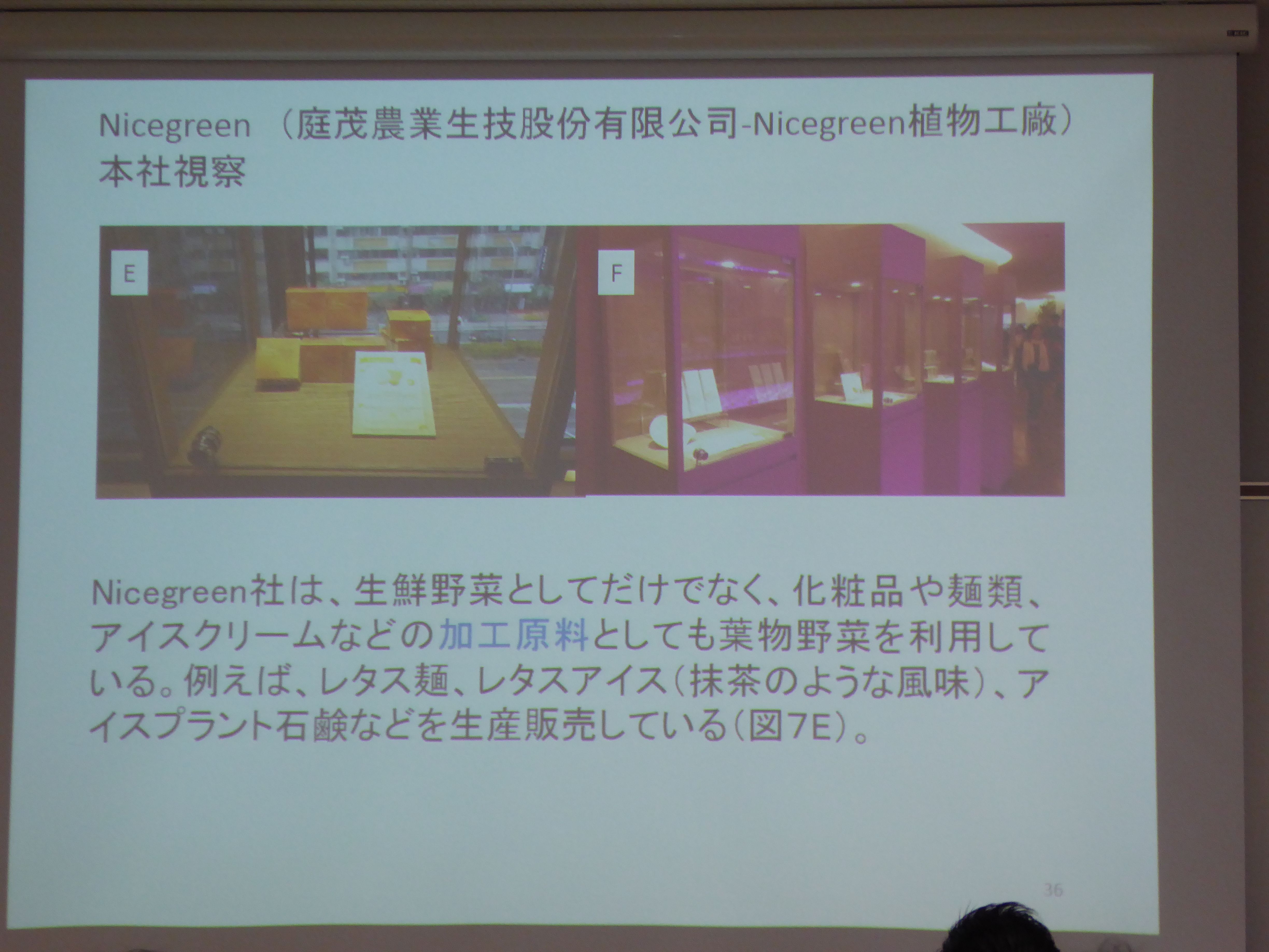 P1020140.JPG