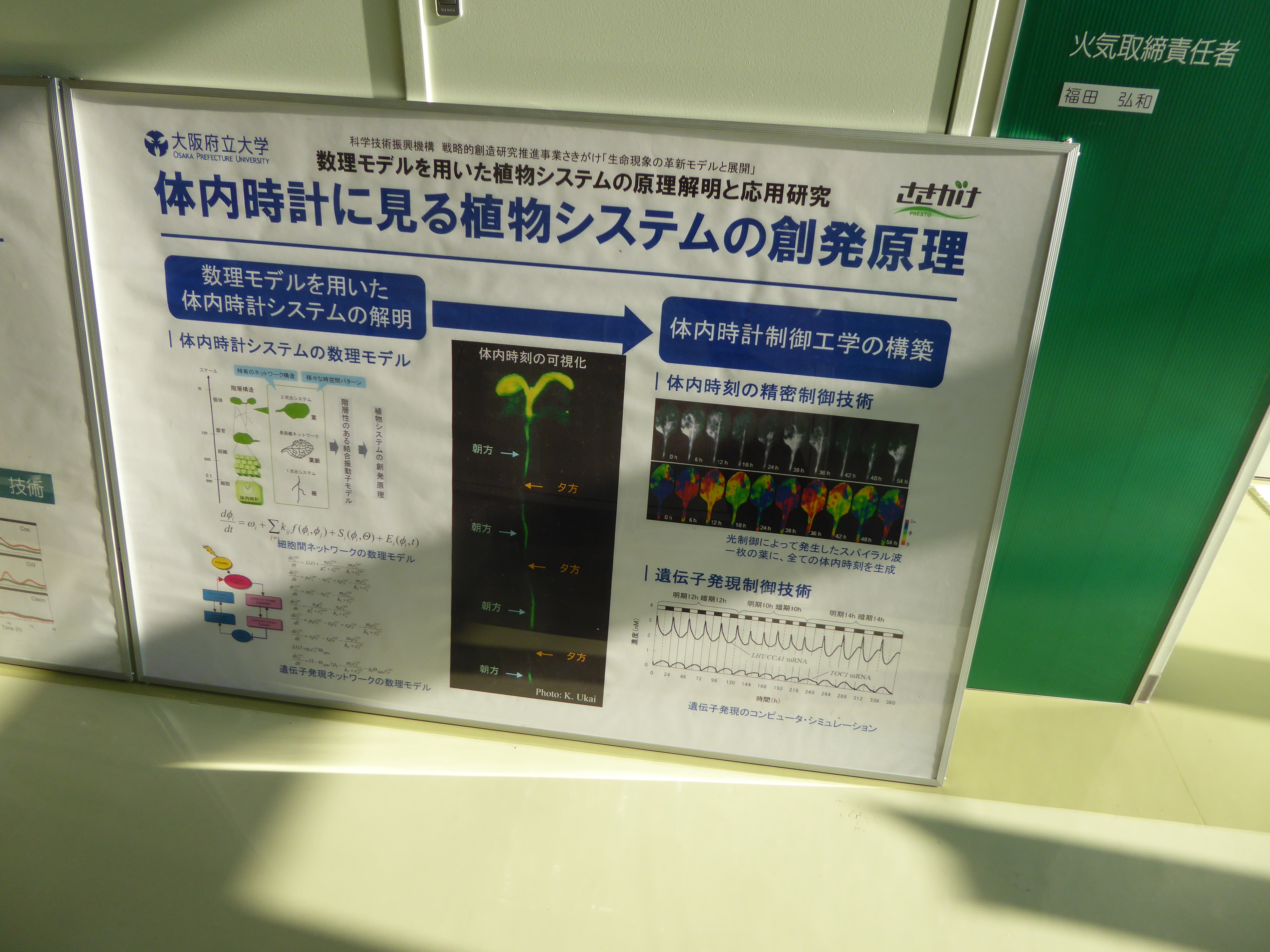 P1020155.JPG