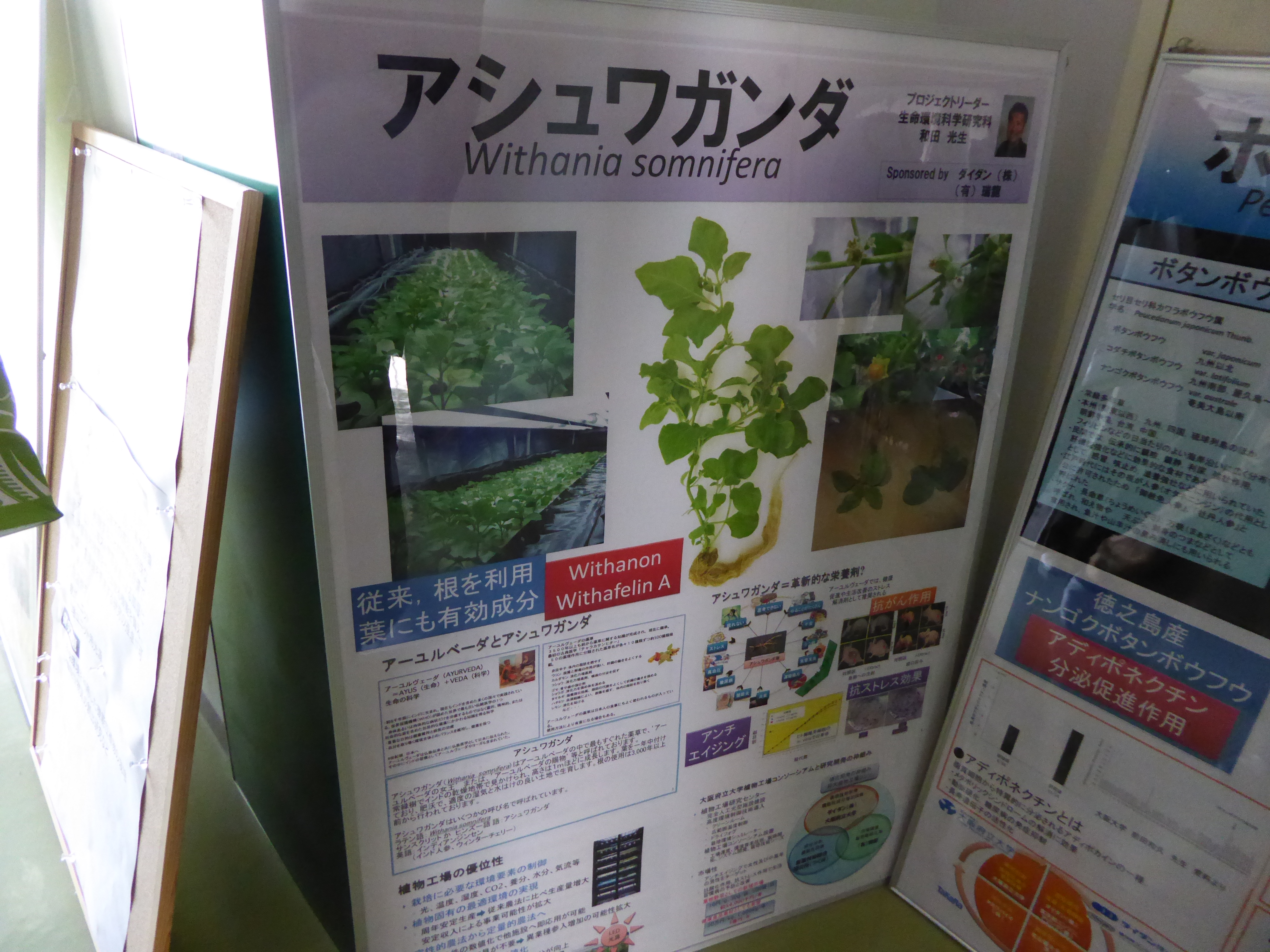 P1020157.JPG