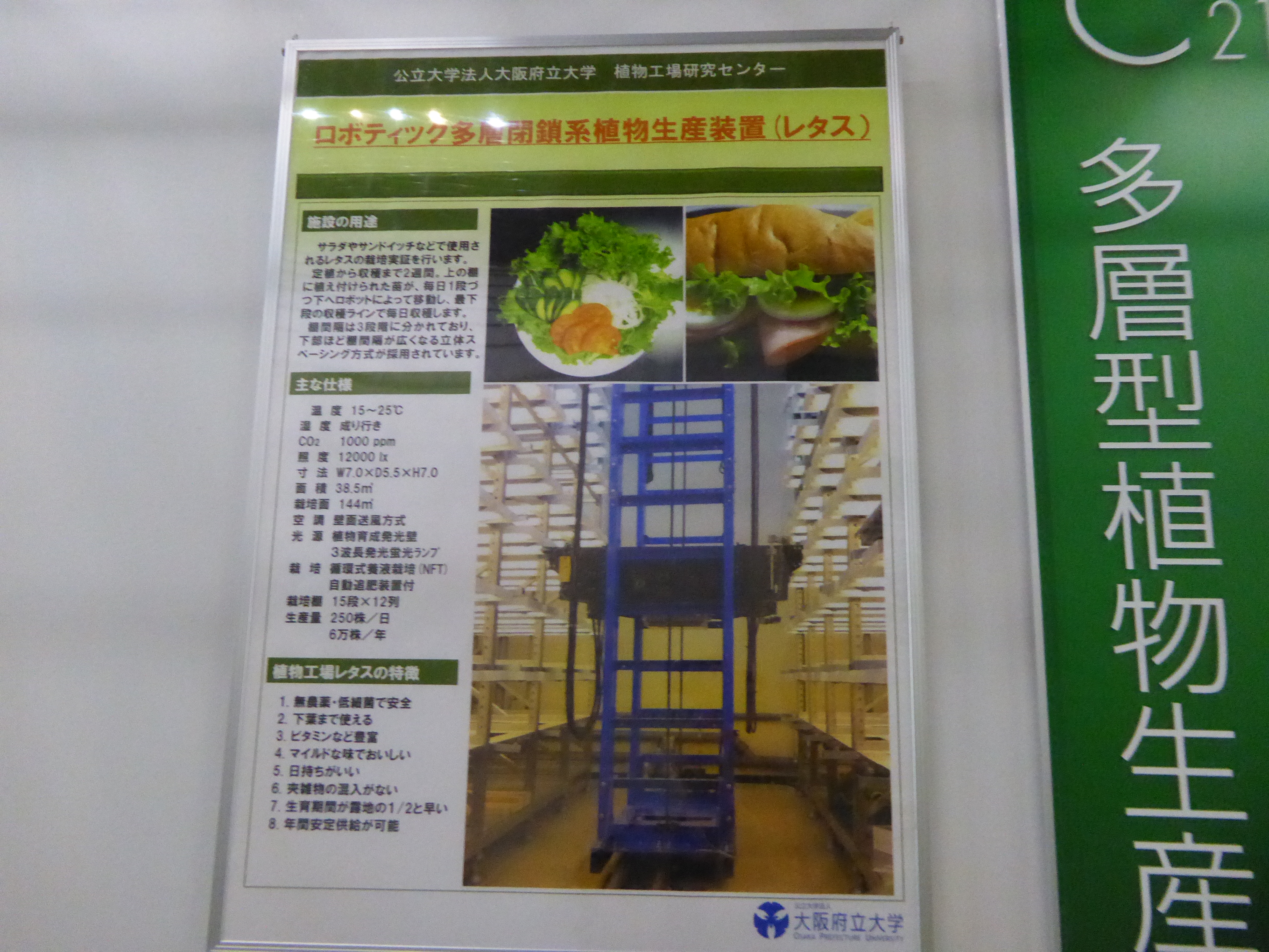 P1020170.JPG