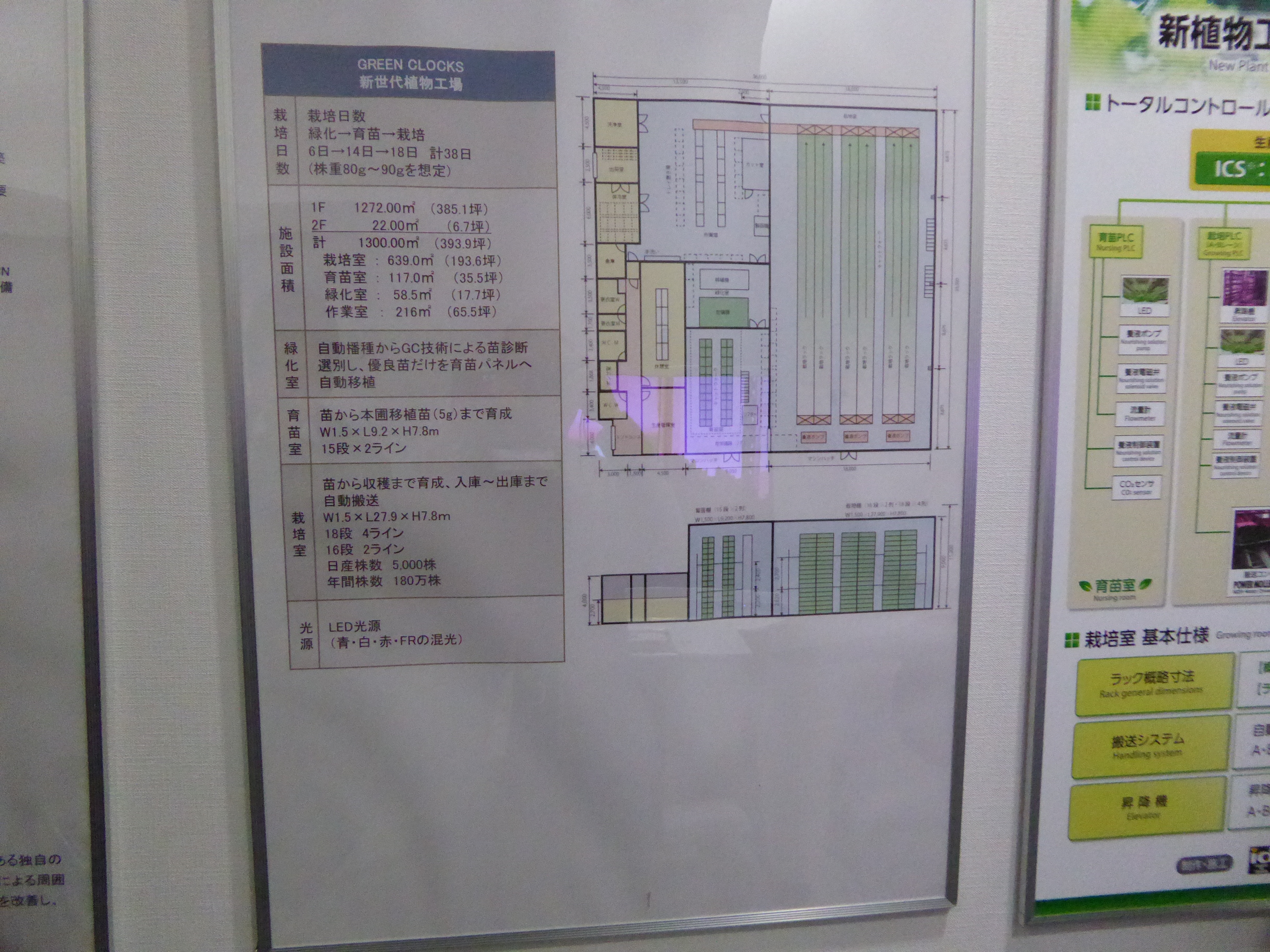 P1020176.JPG