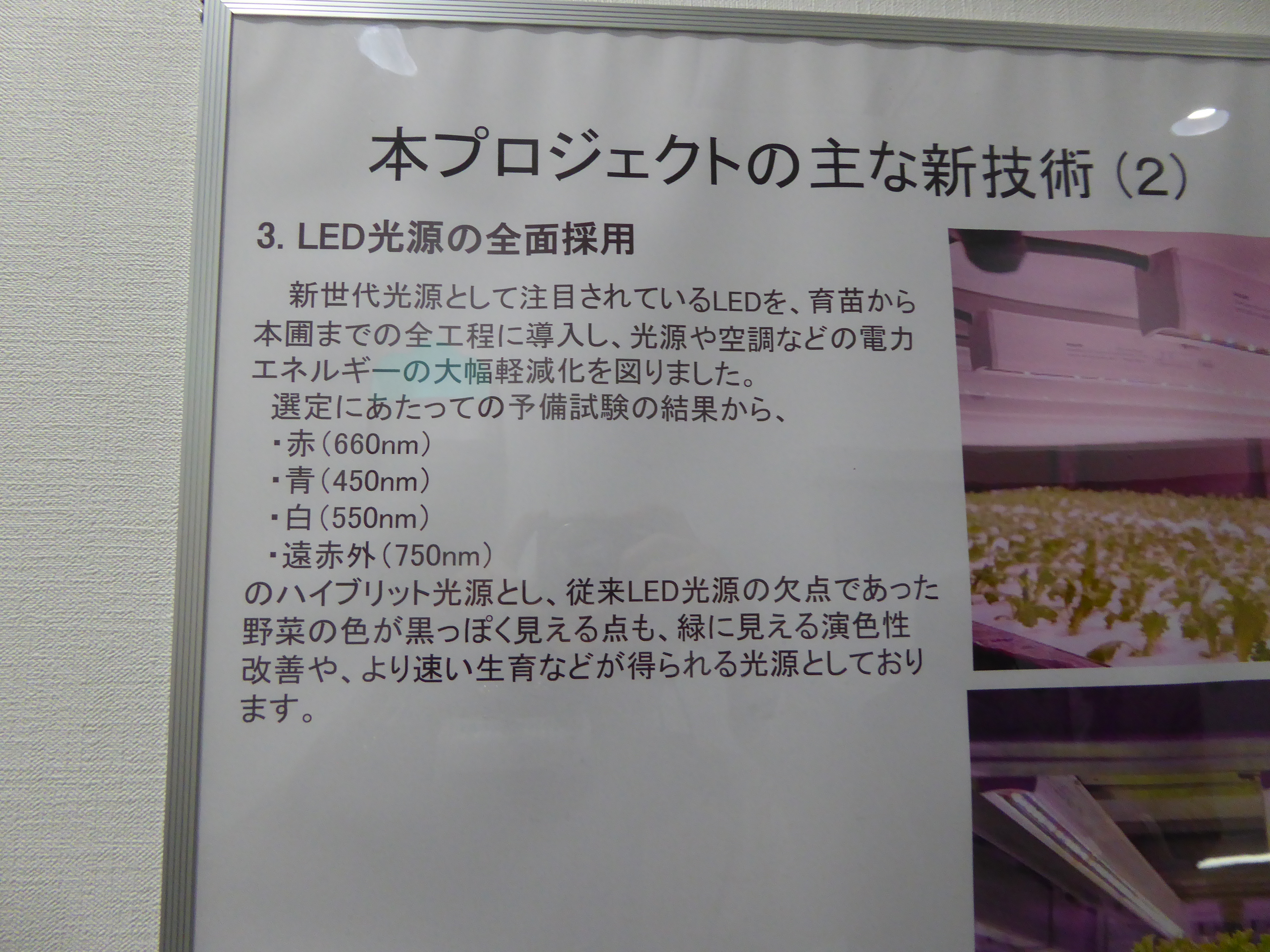 P1020182.JPG