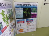 img0047.jpg